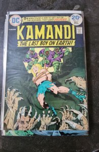 Kamandi, The Last Boy on Earth #17 (1974)