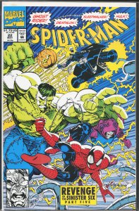 Spider-Man #22 (1992) Spider-Man