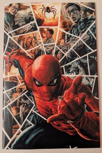 Amazing Spider-Man #11 1:100 NM Lee Bermejo Virgin Variant Marvel 2025
