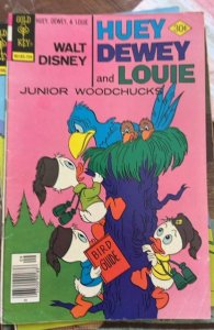 Walt Disney Huey, Dewey and Louie Junior Woodchucks #46 (1977) the Junior Woo...