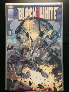 Black & White #3  (1995)