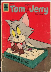 Tom & Jerry Comics #208 (1961)
