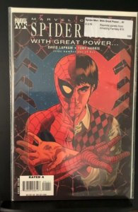 Spider-Man: With Great Power... #1 (2008)