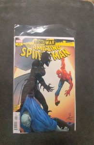 The Amazing Spider-Man #42 (2024)