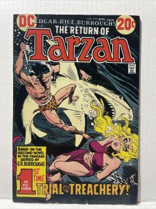 Tarzan #219 1973 DC