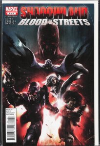 Shadowland: Blood on the Streets #1 (2010) Shroud
