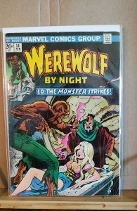 Werewolf by Night #14 (1974)