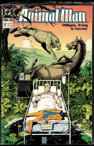 Animal Man #27 (1990) Animal Man