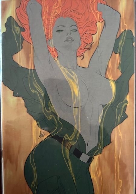 Heat Seeker Combustion #1 + #2 + #4 virgin cover variants (2024) LOT 4 issues