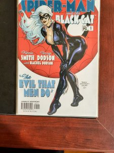 Spider-Man/Black Cat: The Evil that Men Do #1 (2002)