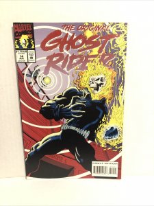 Ghost Rider #14