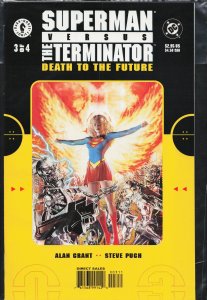 Superman vs. Terminator: Death to the Future #3 (2000)