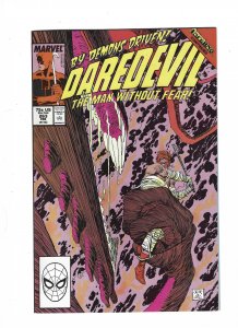 Daredevil #263 (1989)