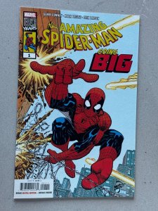 Amazing Spider-Man: Going Big (2019) 9.2 or better