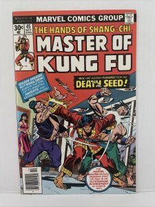 Master Of Kung Fu #45
