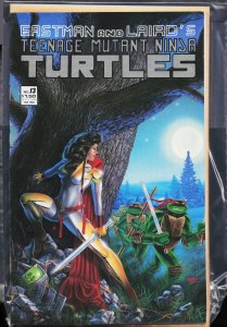 Teenage Mutant Ninja Turtles #13 (1988) [Key Issue]