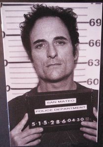 Sons of Anarchy 3 (2013)  Mugshot Variant Cover