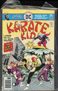 Karate Kid #2 (1976) Karate Kid