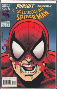 The Spectacular Spider-Man #211 (1994) Spider-Man