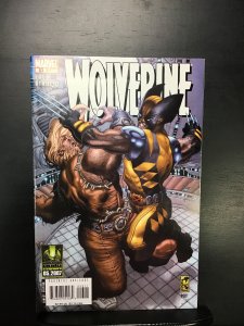 Wolverine #53 (2007) nm