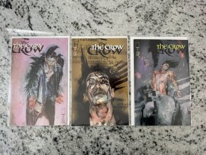 Lot Of 3 The Crow Image Comic Books # 1 2 3 NM 1st Prints 16 J223
