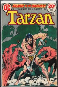 Edgar Rice Burroughs' Tarzan #224 (1973)