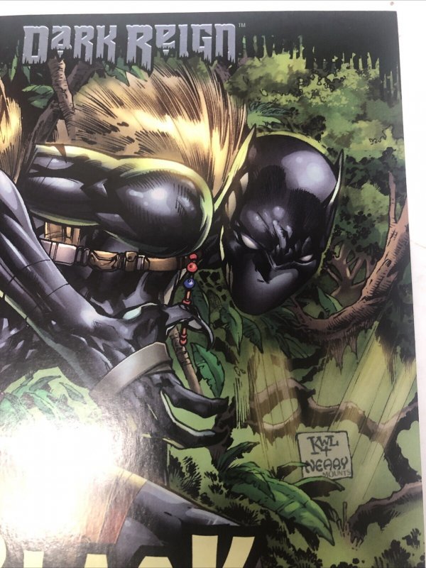 Dark Reign Black Panther (2009) # 1 (VF) • Variant Cover • Reginald Hudlin •