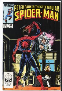 The Spectacular Spider-Man #87 (1984) Spider-Man