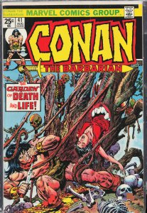 Conan the Barbarian #41 (1974) Conan