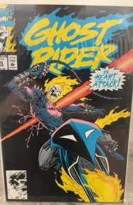 Ghost Rider #35 (1993) Ghost Rider 
