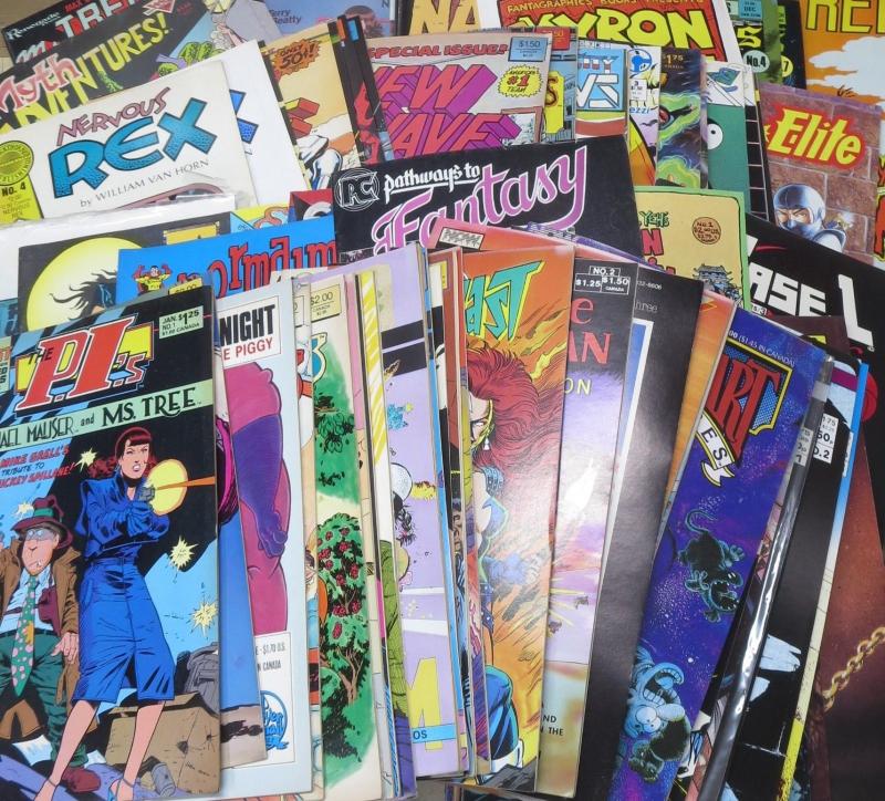 1980S-1990S INDIE COMIC survey WYSIWYG- 300 PLUS BOOKS Comic history long box