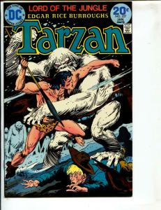 Tarzan-#227-1974-DC-BRONZE-AGE-Joe Kubert-NM-