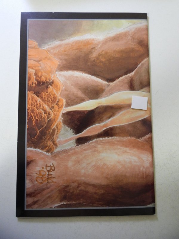 Cavewoman the Mature Version FN/VF Condition