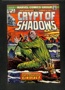 Crypt of Shadows #5