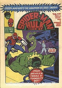 SPIDER-MAN AND HULK WEEKLY  (UK MAG) #431 Fine