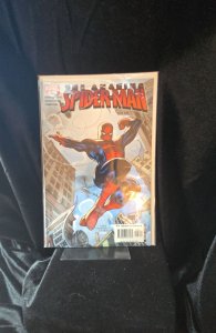 The Amazing Spider-Man #523 (2005)  