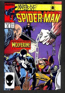 Web of Spider-Man #29 (1987)