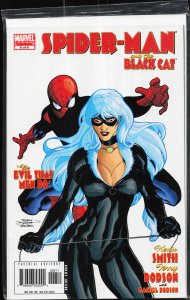 Spider-Man/Black Cat: The Evil that Men Do #6 (2006) Spider-Man