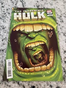 The Incredible Hulk # 24 NM Variant Cover Marvel Comic Book 12 J436