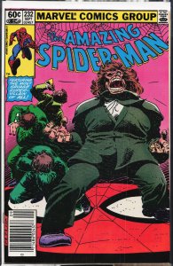 The Amazing Spider-Man #232 (1982) Spider-Man