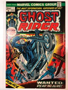 Ghost Rider #1 (1973) F/VF