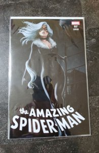 The Amazing Spider-Man #57 Talavera Cover (2024)