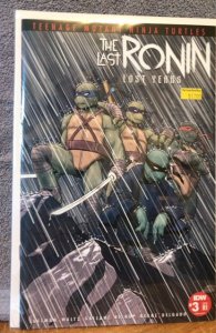 Teenage Mutant Ninja Turtles: The Last Ronin - The Lost Years #3 Cover D (2023)