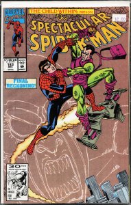 The Spectacular Spider-Man #183 (1991) Spider-Man