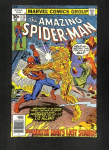 Amazing Spider-Man #173