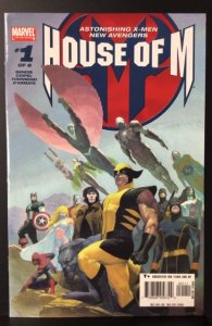 House of M #1 (2005)