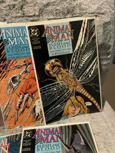 Lot of 5 Animal Man Dc Comics 51 52 53 54 55 