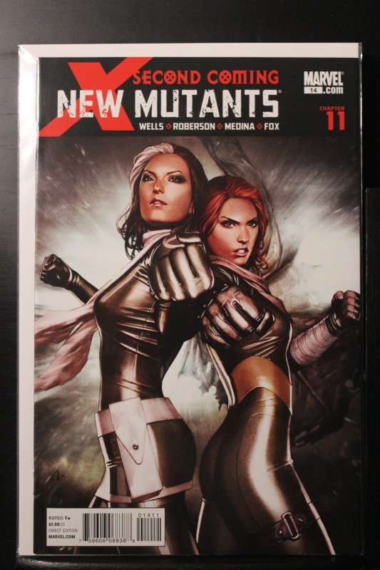 New Mutants #14 Granov Cover (2010)