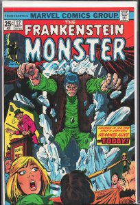 The Frankenstein Monster #12 (1974) Frankenstein Monster