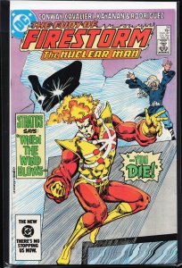 The Fury of Firestorm #29 (1984) Firestorm